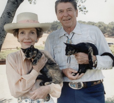 There is only one photo of Margaret Thatcher with a cat. And it aint as nice as this.